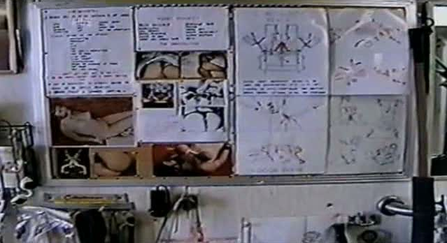 An image taken inside the trailer that shows Ray's S&M drawings and photographs.